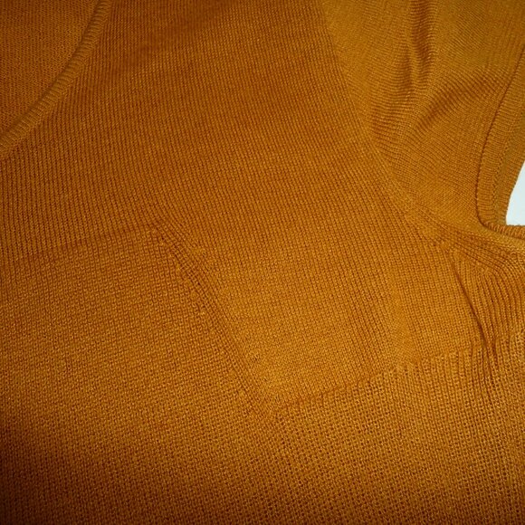 ITALIAN BURNTED ORANGE SILK COTTON BLEND SHORT SLEEVE BLOUSE GENTLY USED SIZE L - Picture 6 of 6